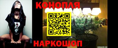 mix Будённовск
