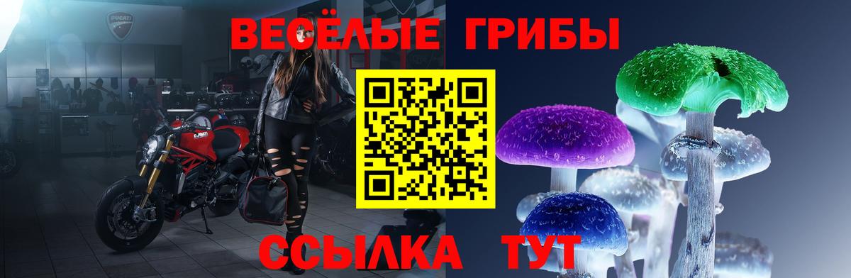 Псилоцибиновые грибы GOLDEN TEACHER  Вход с VPN  хочу   Тверь 