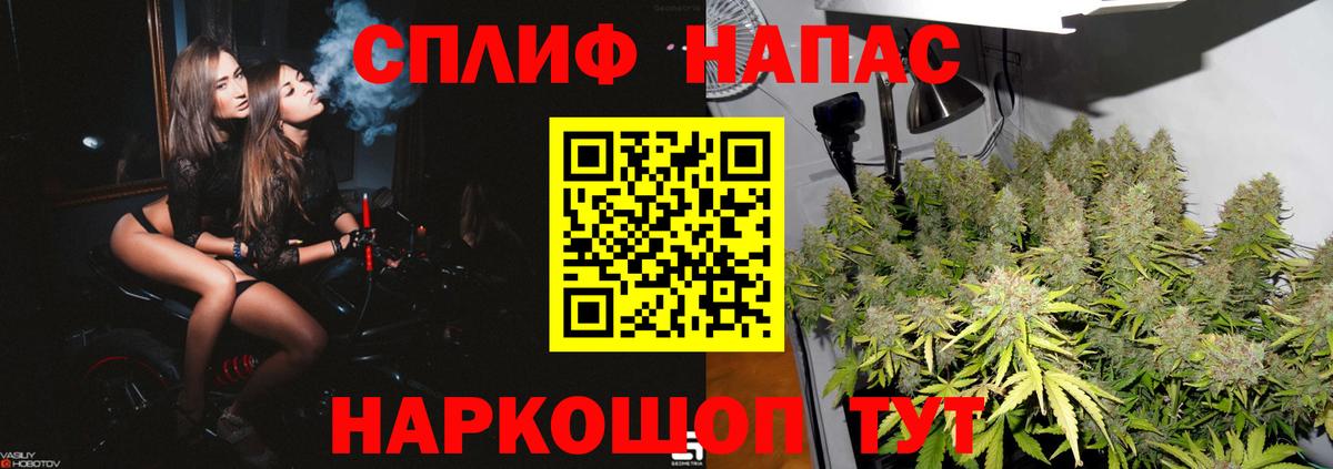 Конопля планчик Тверь