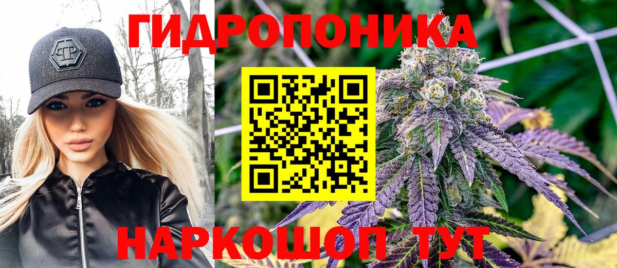 Бошки марихуана THC 21%  Бошки марихуана AK-47  Вход с VPN  Бошки марихуана план  Тверь 